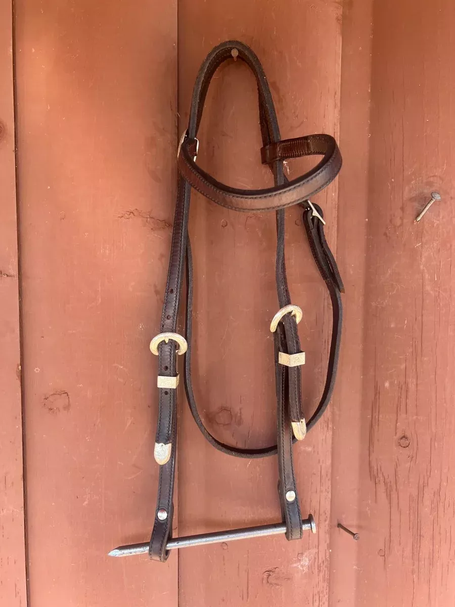 Tory Leather Browband Headstall with SilverHS1174