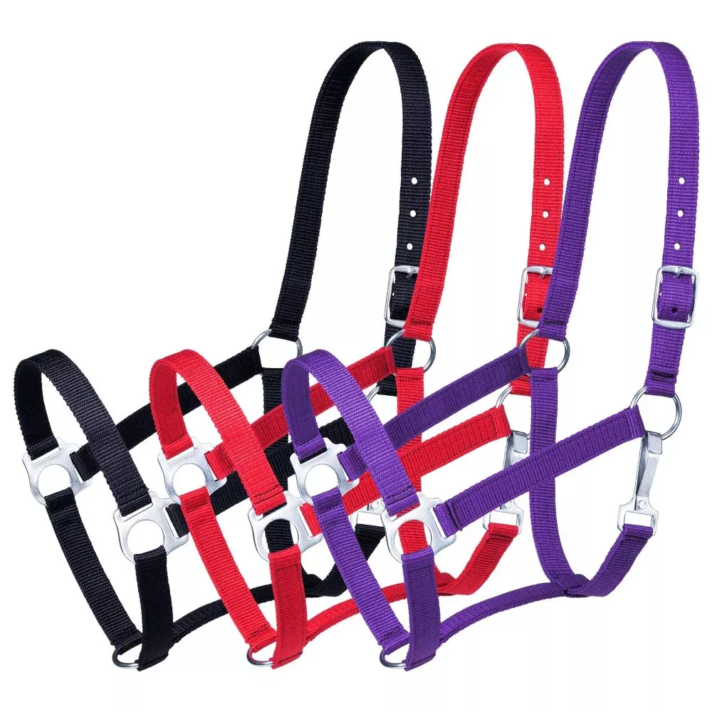 Tough1 Economy Horse Halter - 3 Pack