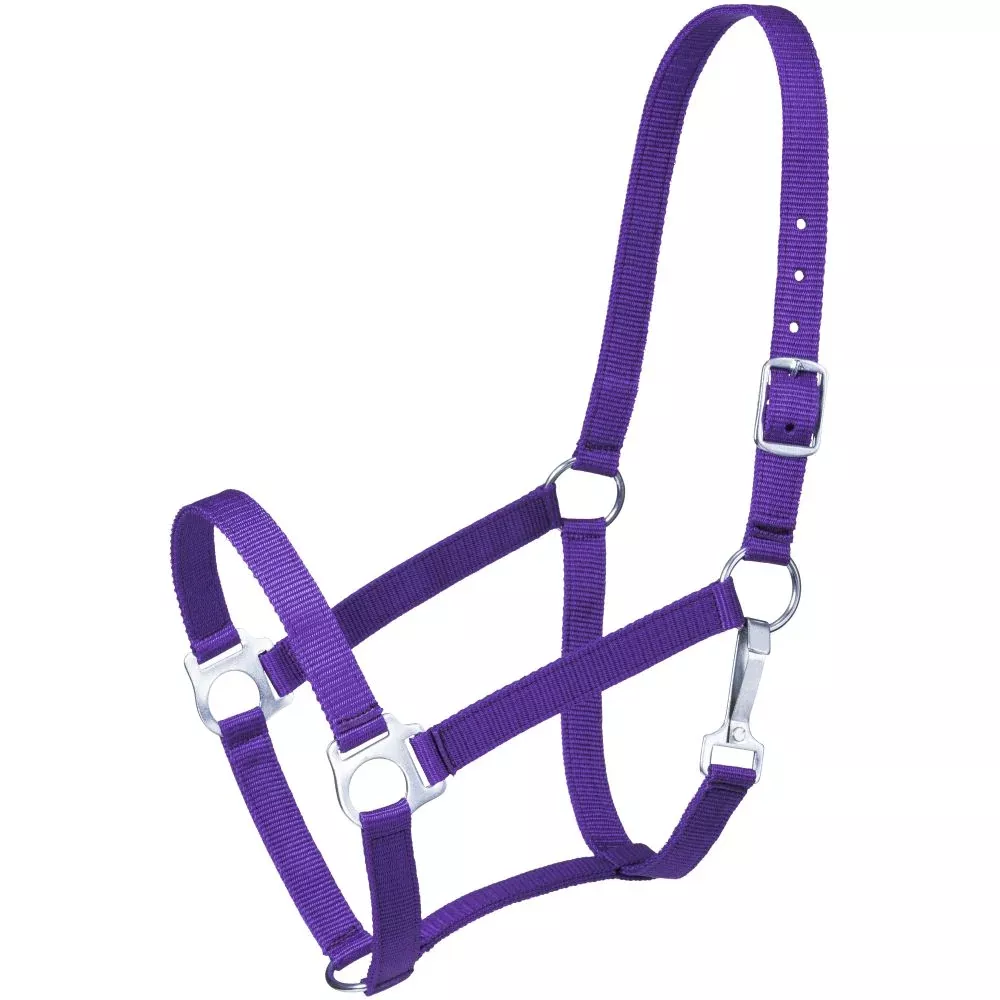 Tough1 Economy Horse Halter