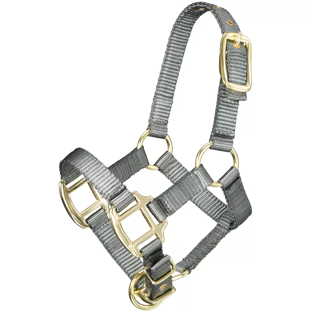 Tough1 Premium Halter - Mini Foal