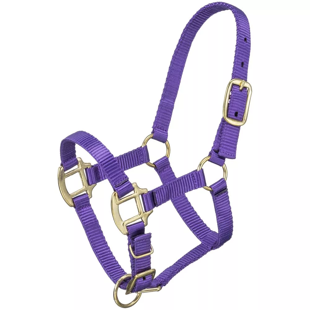 Tough1 Premium Halter - Suckling