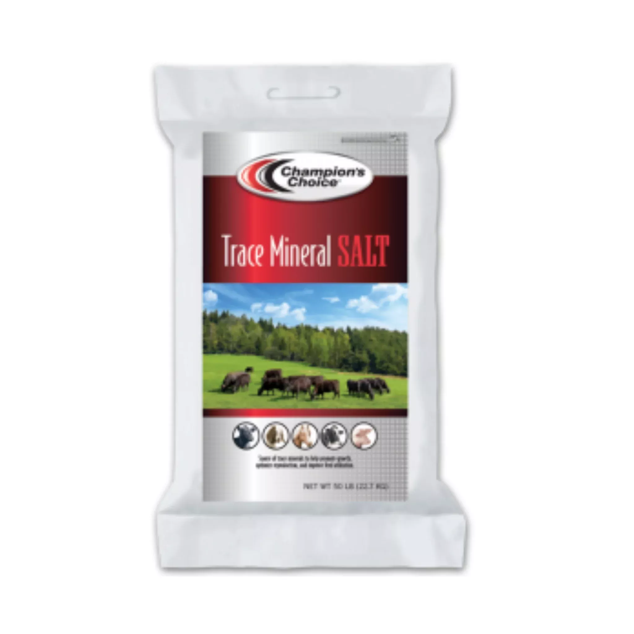 Trace Mineral Loose Salt Bag