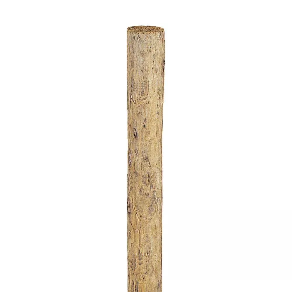 Treated Post 4"x7'