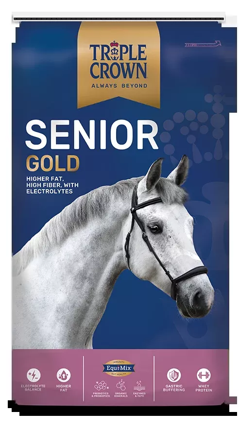 Triple Crown Senior Gold