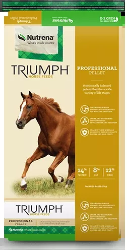 Triumph Professional Pellet