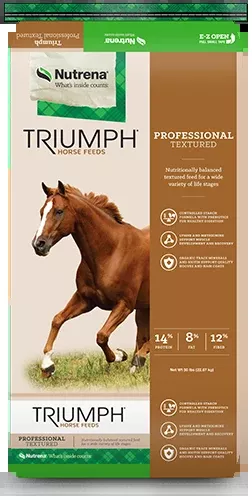 Triumph Professional Textured