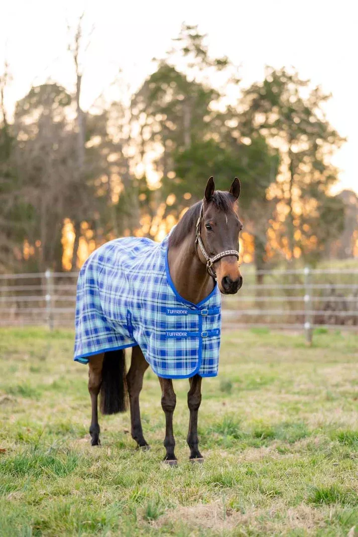 Tuff Rider Textilene Fly Sheet- Sky Blue