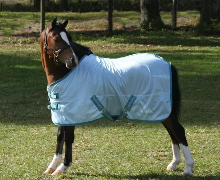 TuffRider Comfy Mesh Mini Fly Sheet- Porcelain Blue/Teal