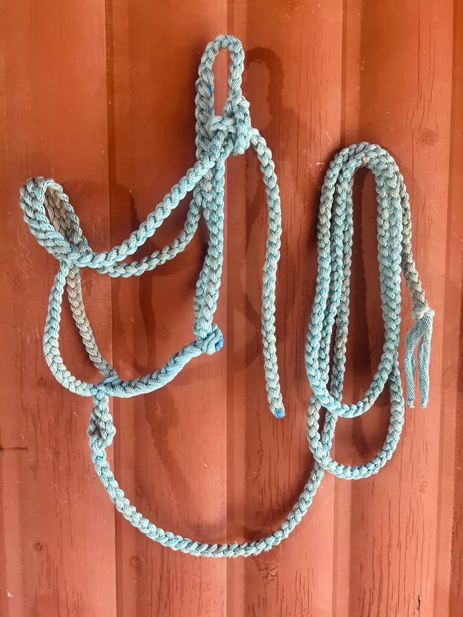 Turquoise Braided Halter with Attached 10 ft Lead Rope
