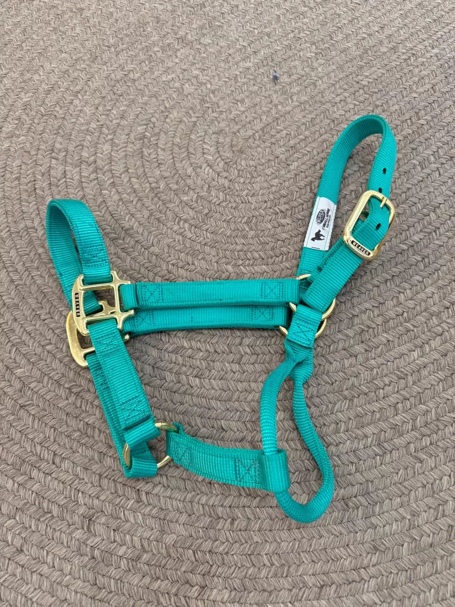 Turquoise Weaver Nylon Halter - Small Horse HL1154