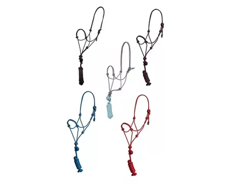 Two-Tone Braided Poly Rope Halter with 5/8" Poly Lead – Assorted Colors