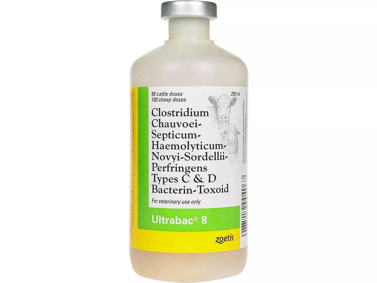 Ultrabac 8, 50 Dose