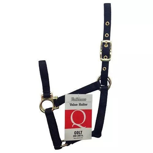 Valhoma Nylon Horse Halter – 1" Webbing | Brass Plated Hardware