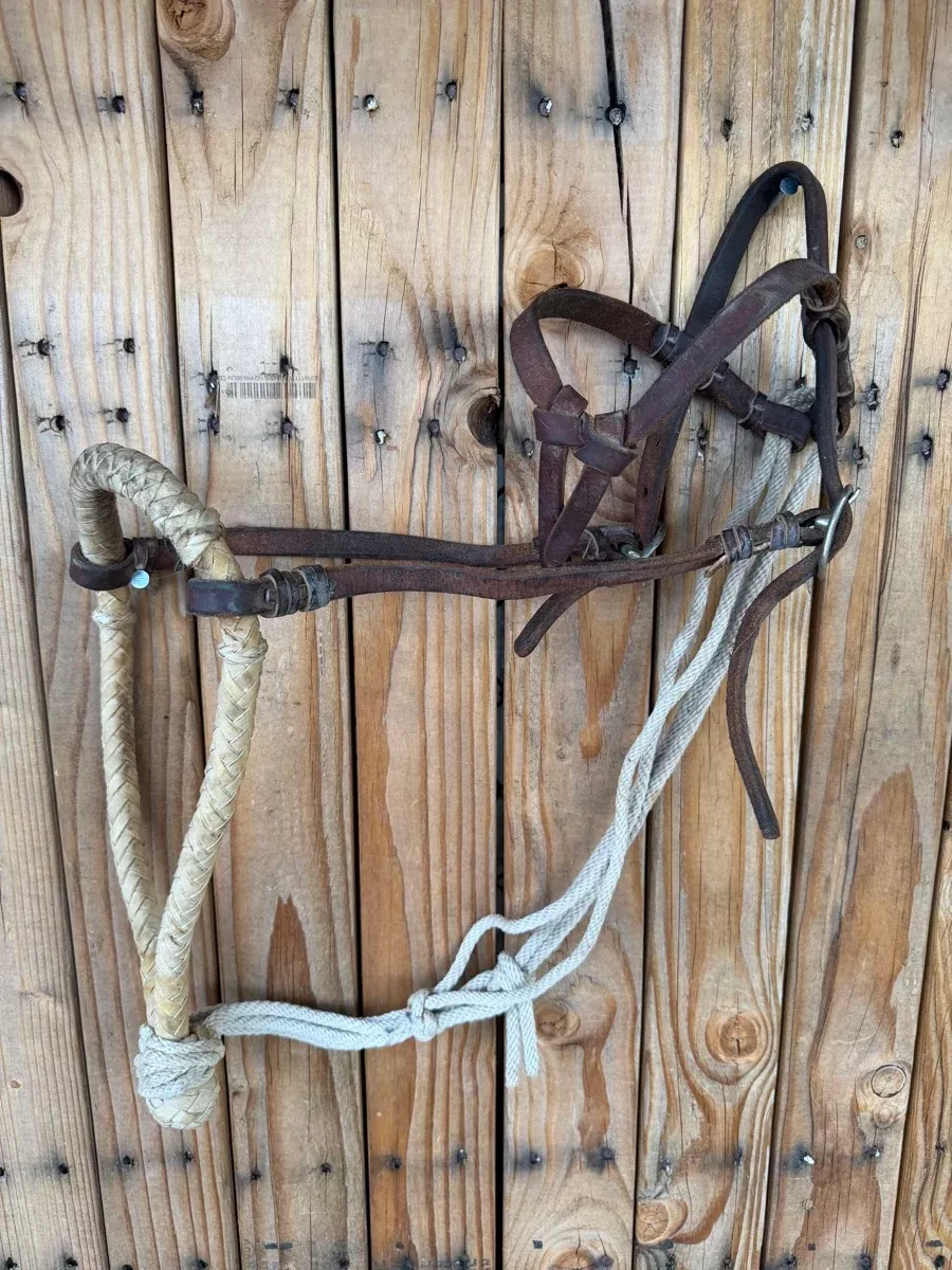Vintage Rawhide Bosal Hackamore Bitless Bridle Loping Hackamore HS1232