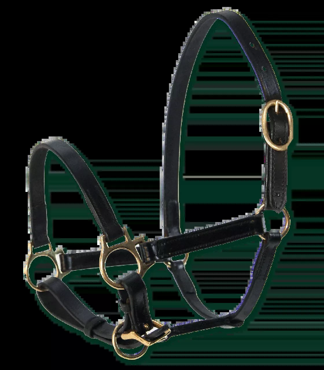 WALDHAUSEN STAR LEATHER FOAL HALTER