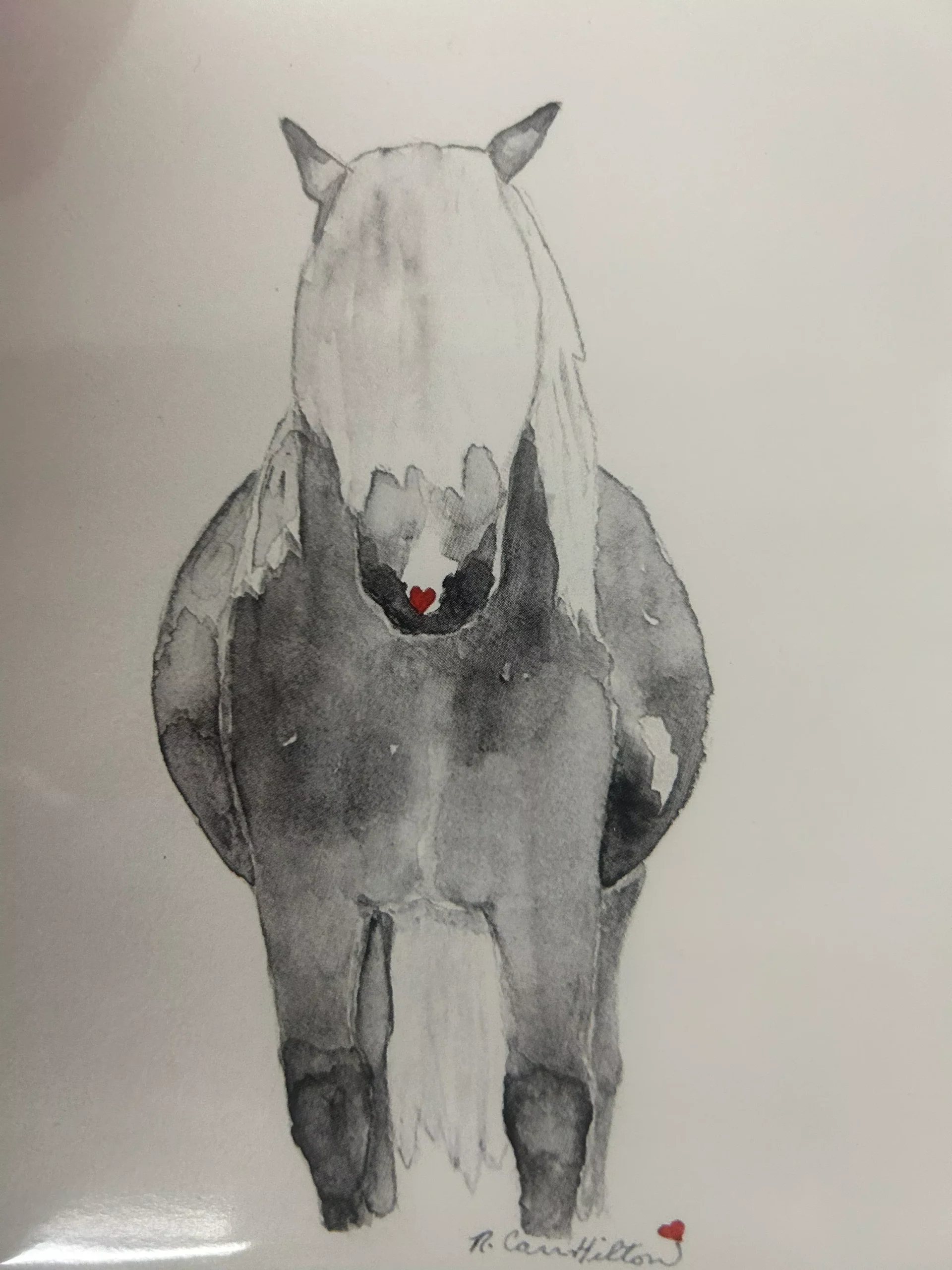 Watercolor Greeting Cards