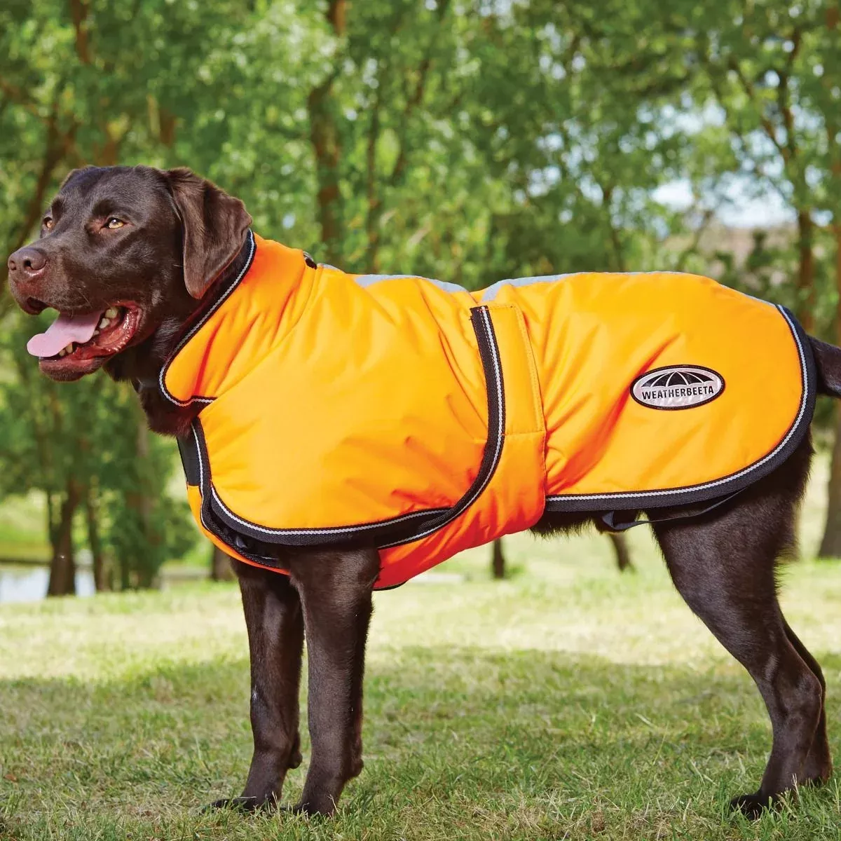Weatherbeeta 300D Deluxe Reflective Dog Coat