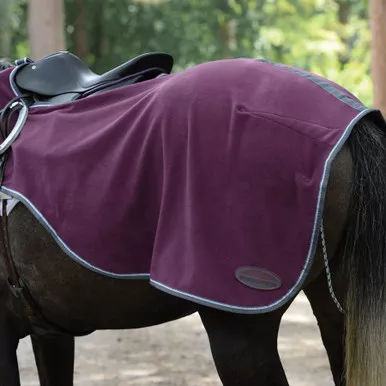 WeatherBeeta Anti Static Fleece Quarter Sheet