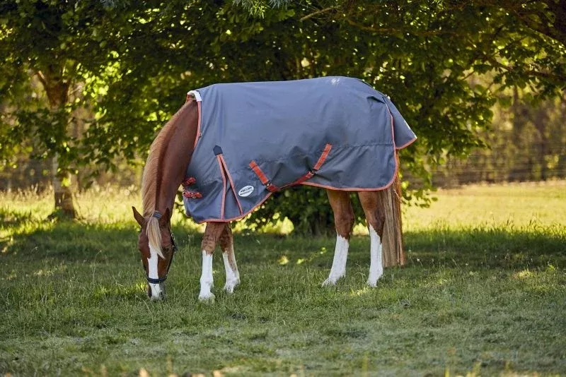 Weatherbeeta ComFiTec Essential Plus Standard Neck Lite Turnout