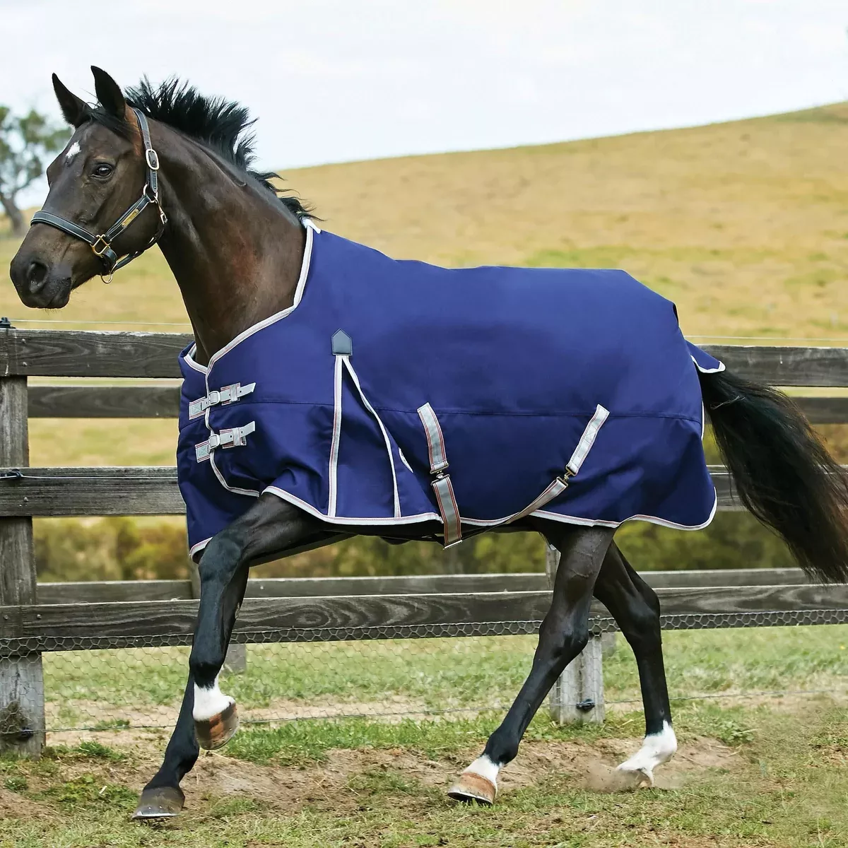 Weatherbeeta Essential Standard Neck Mid Weight