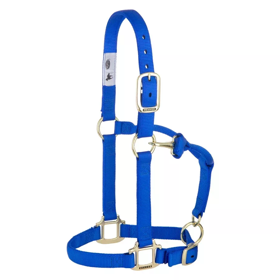 Weaver 1" Premium Nylon Yearling Halter - Adjustable Chin & Throat, Brass Hardware | Blue