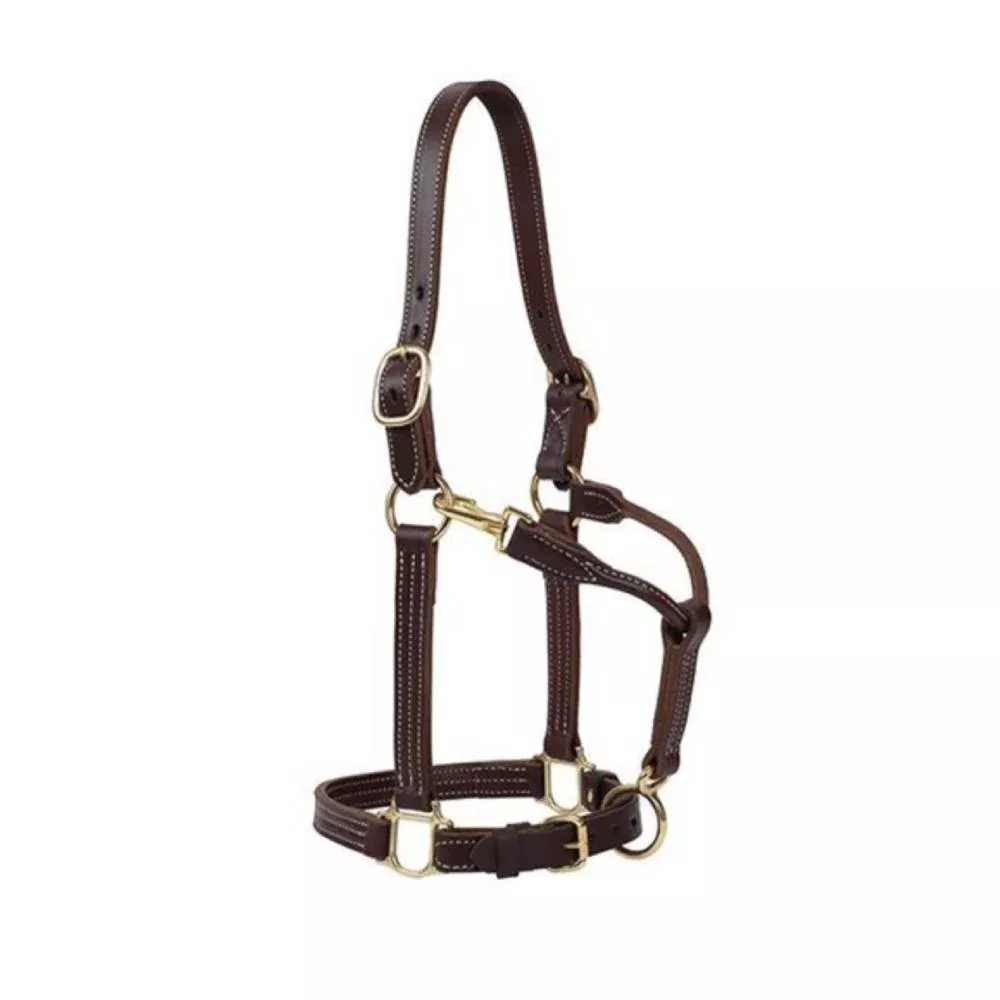 Weaver 1" Track Halter Canyon Rose