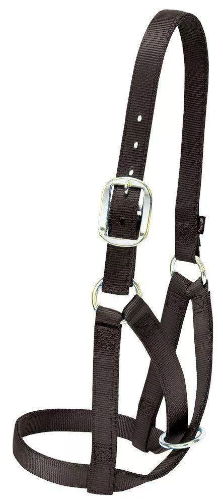 Weaver Leather Barn Cow Nylon Halter 1"