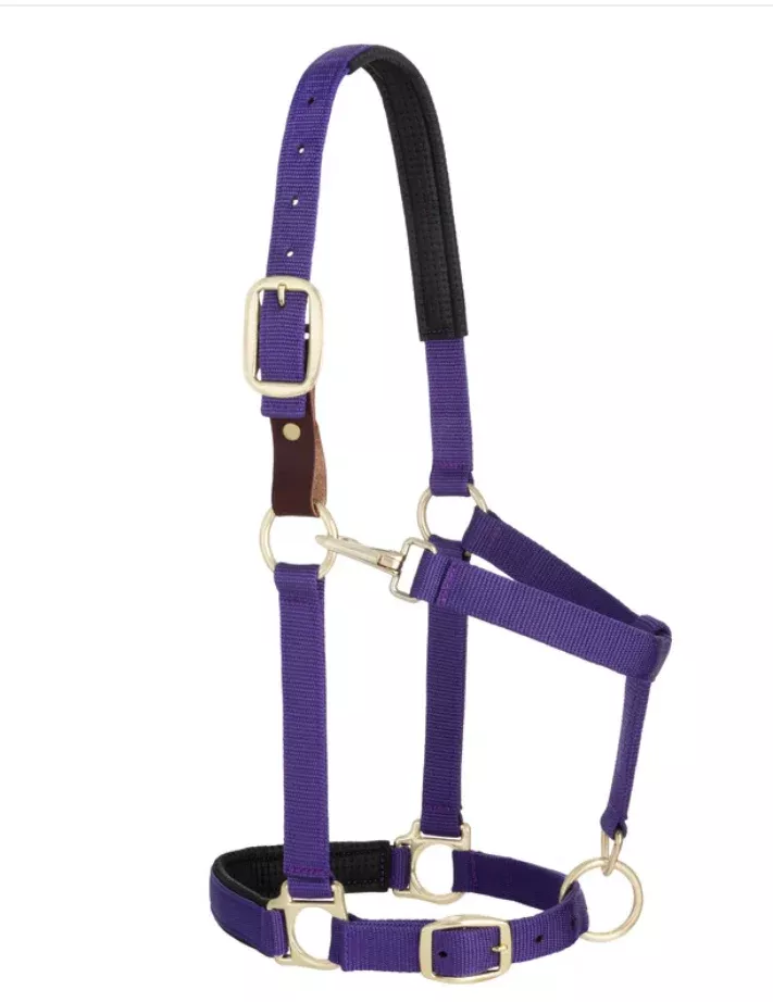 Weaver Padded Breakaway Adjustable Chin and Throat Snap Halter