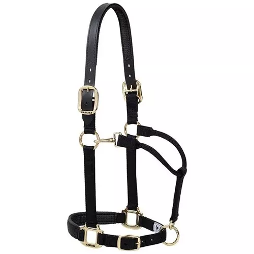 Weaver Padded Breakaway Halter with Adjustable Chin