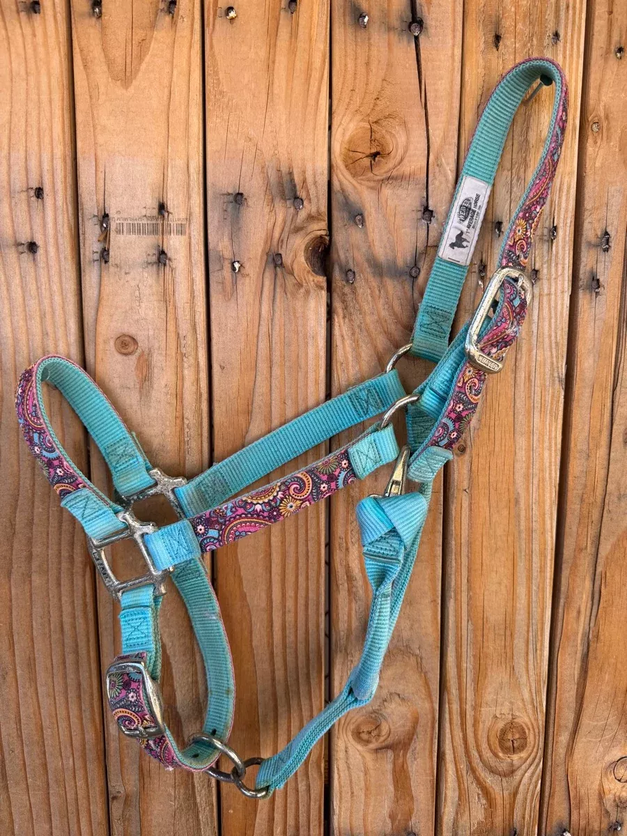 Weaver Paisley Pattern 1 in. Nylon Halter - Horse HL1159