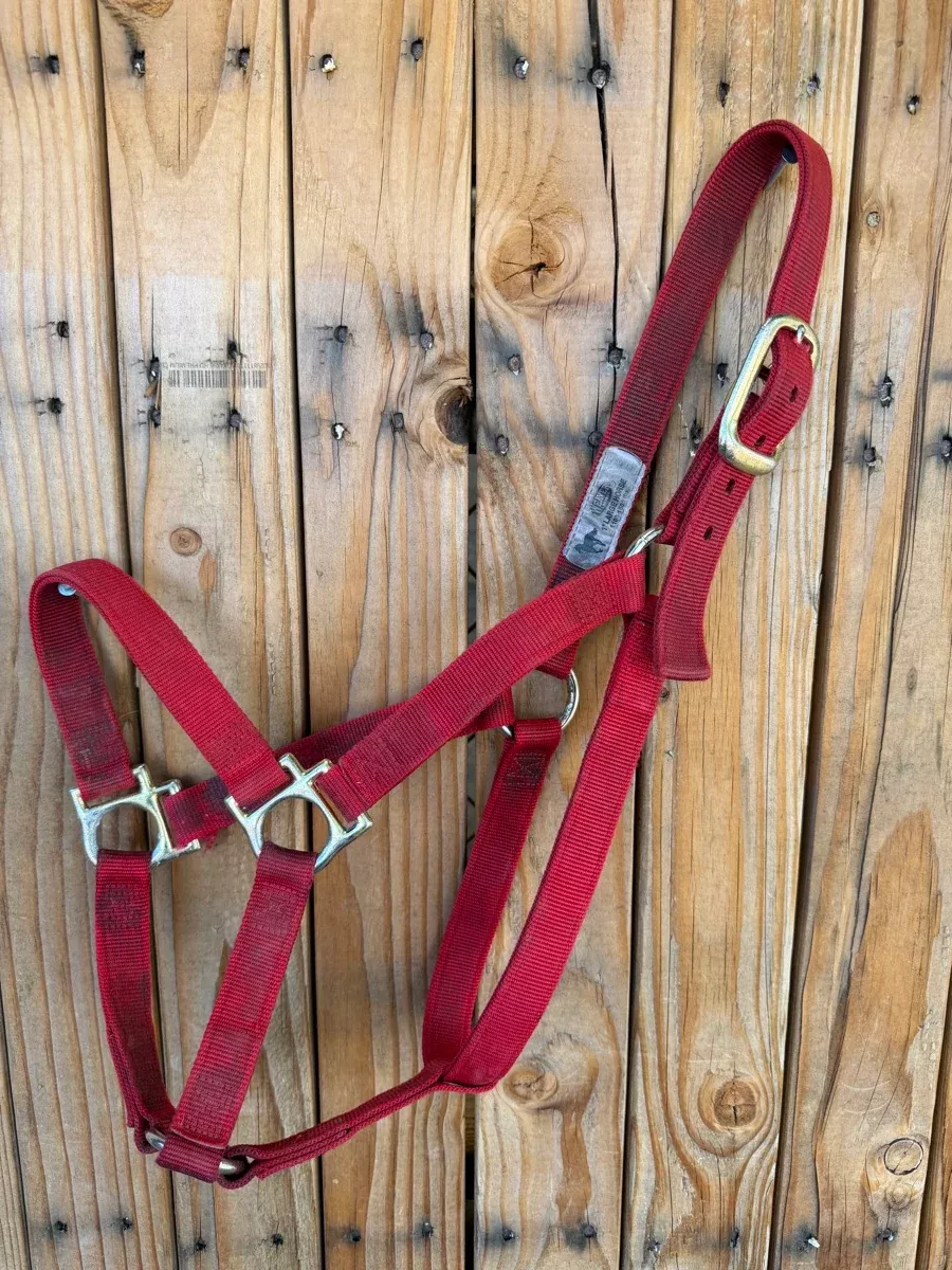 Weaver Red 1 in. Nylon Halter - Large Horse HL1160