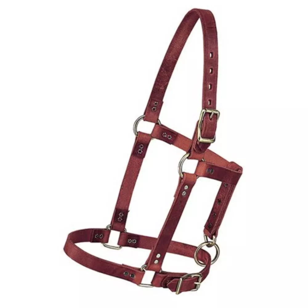 Weaver Riveted Burgundy Latigo Halter