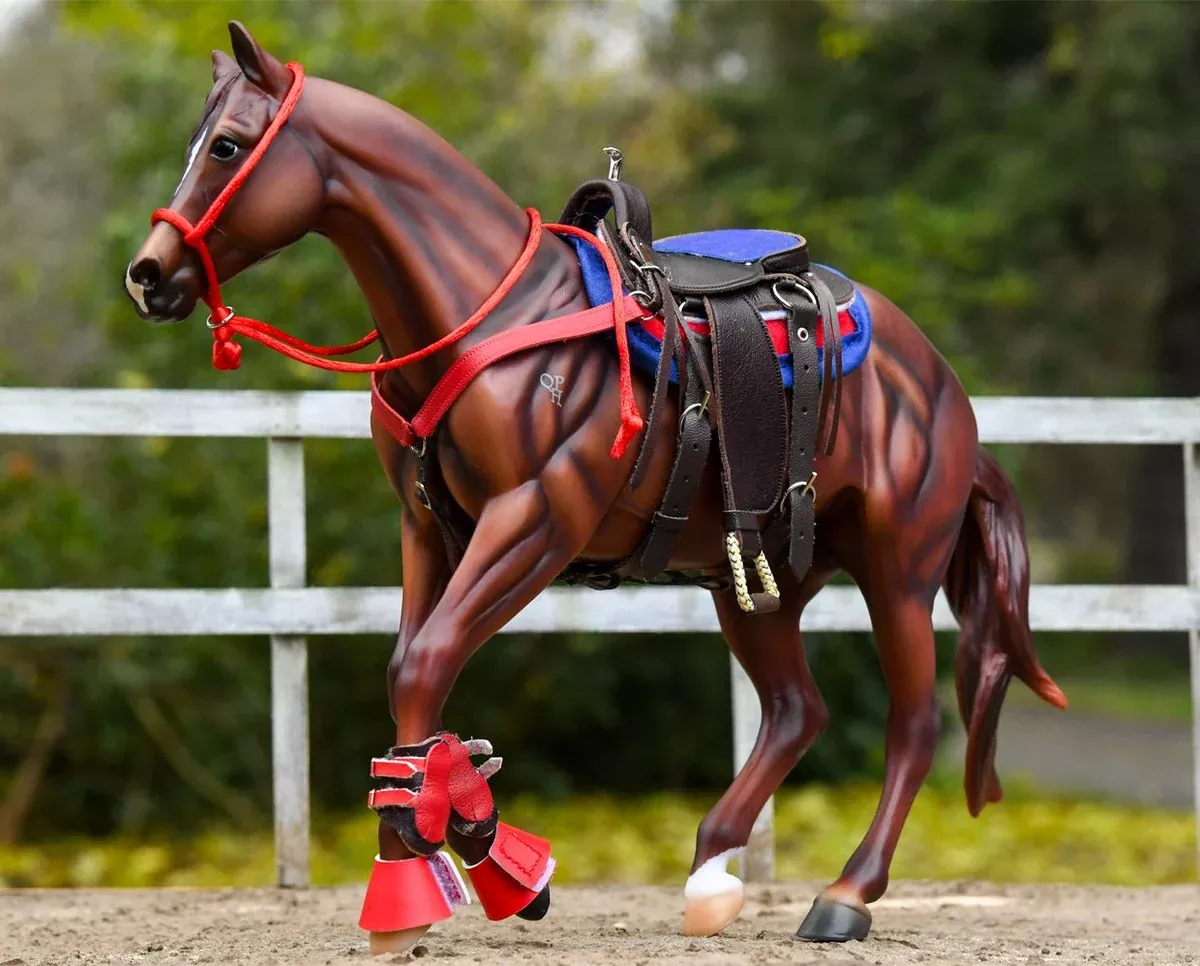 Western Riding Set in Hot Colors