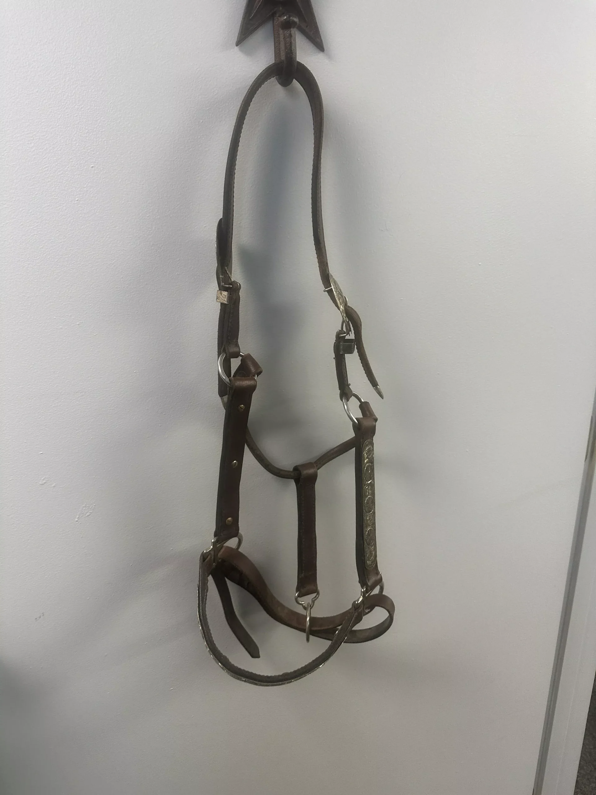 Western Show Halter with Silver