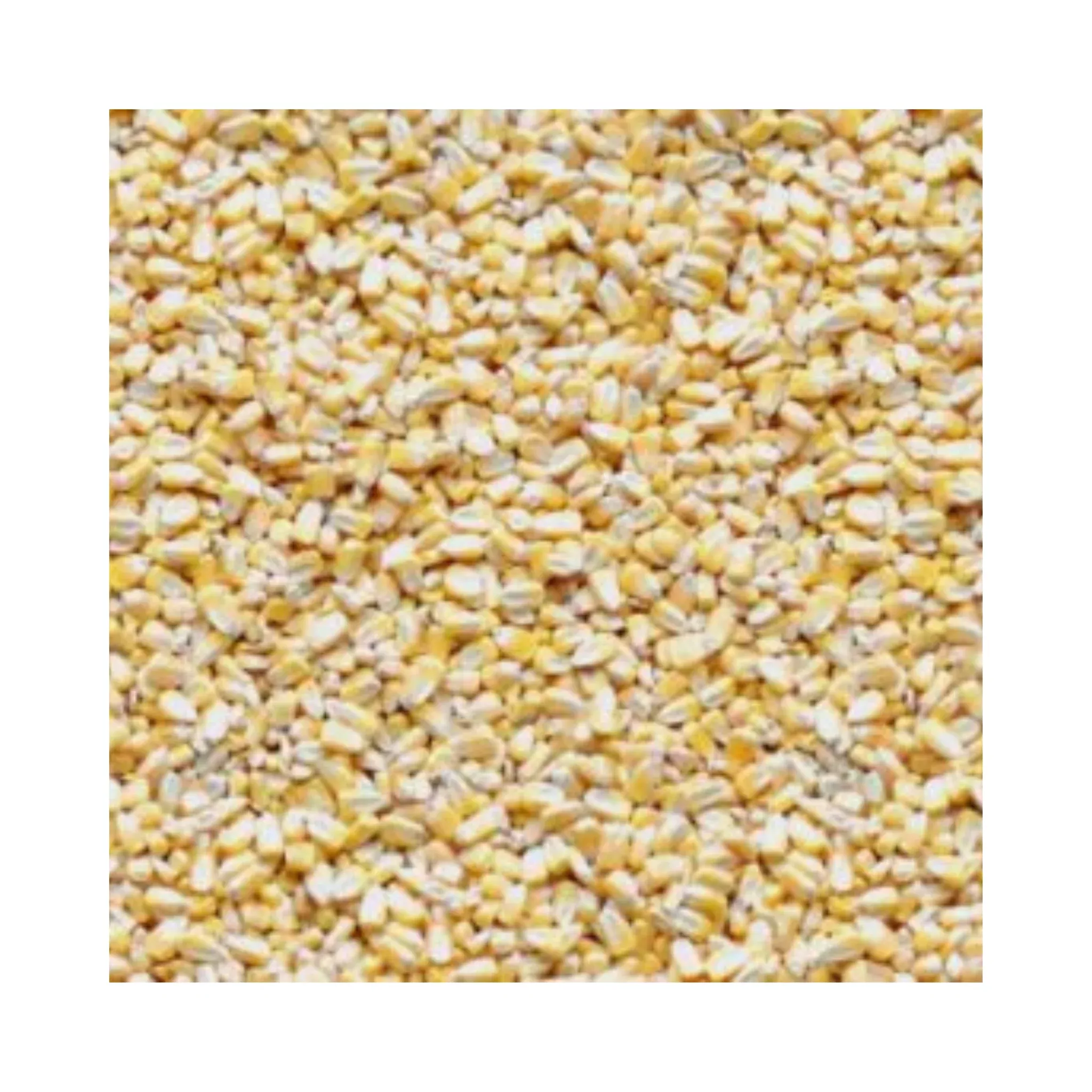 Whole Shelled / Deer Corn Grains
