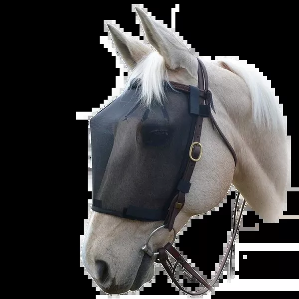 Wild Horse Fly Veil | Rider