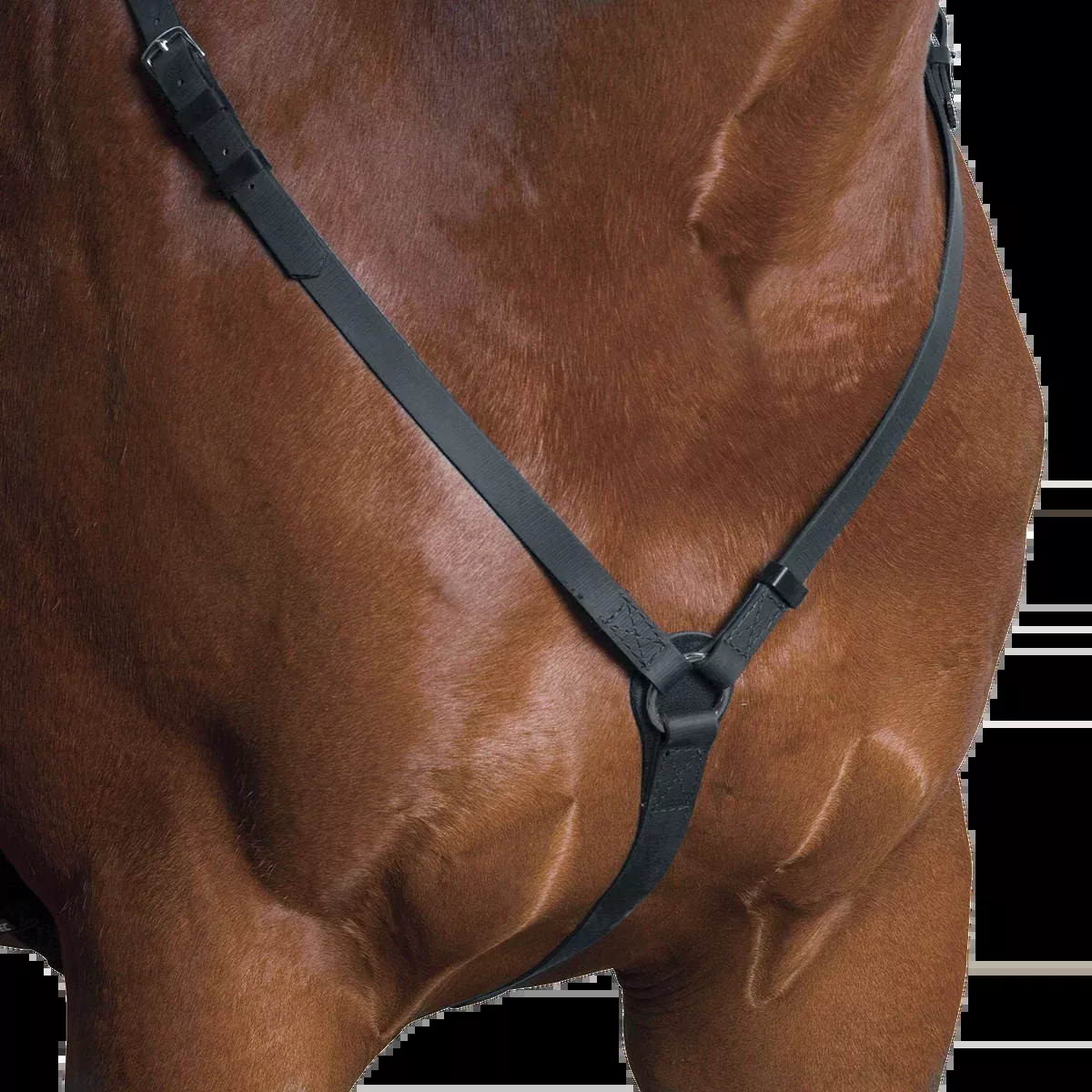 Wintec Breastplate
