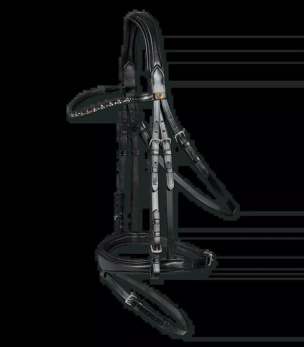 X-Line Sensitive Bridle