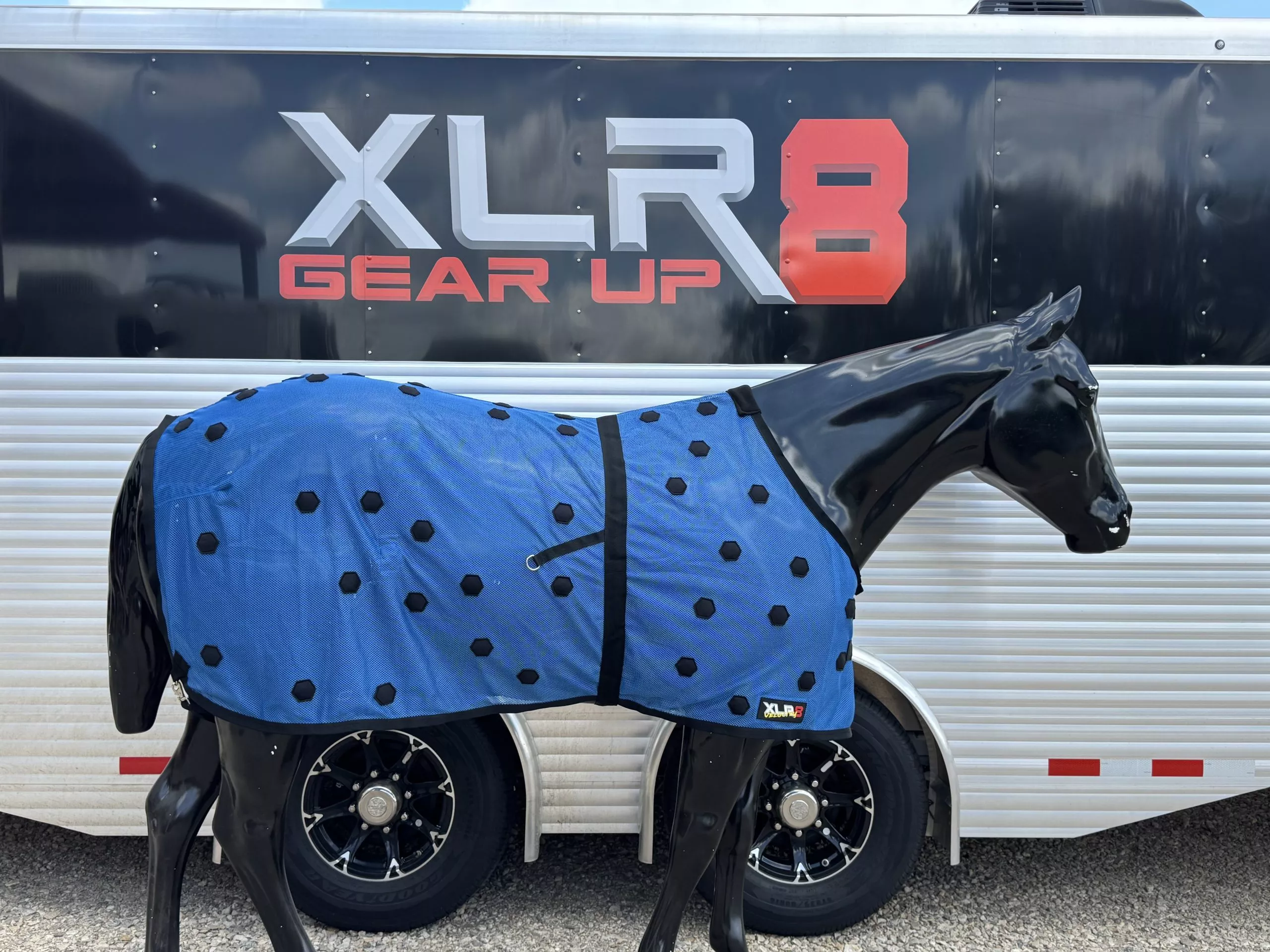 Xlr8 special edition sheet -Teal, Blue, pink or red