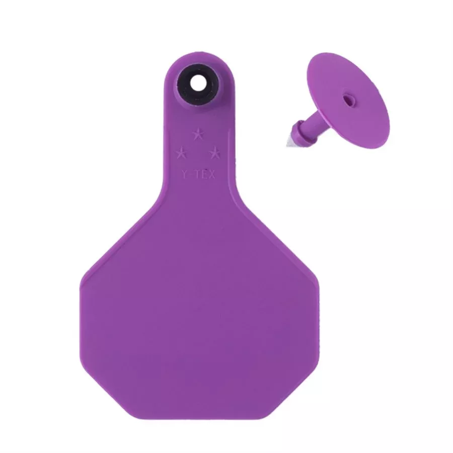 Y-Tex 3-Star Blank Combo Tag, Medium, Purple, 25 count