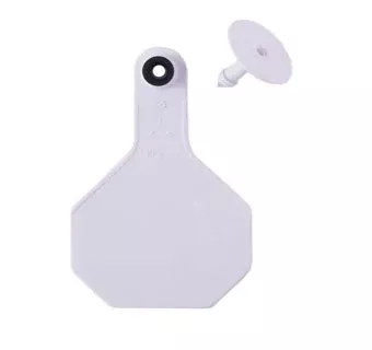 Y-Tex 3-Star Blank Combo Tags, Medium, White, 25 count