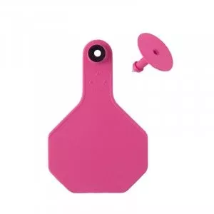 Y-Tex 3-Star Medium Tags, Pink