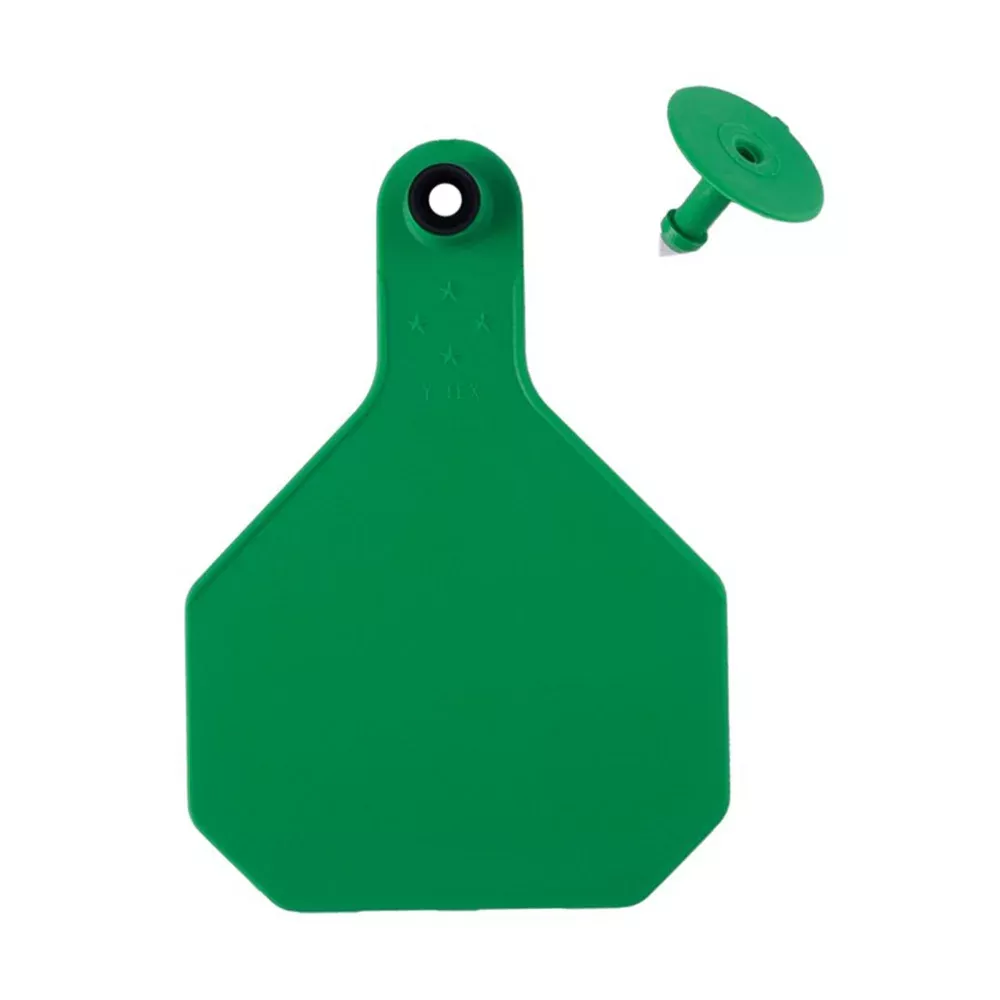 Y-Tex 4-Star Blank Combo Tag, Large, Green, 25 count