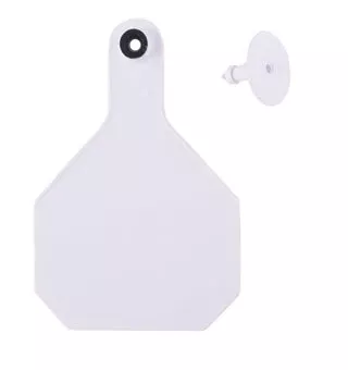 Y-Tex 4-Star Blank Combo Tag, Large, White, 25 count