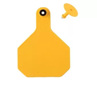 Y-Tex 4-Star Blank Combo Tag, Large, Yellow, 25 count