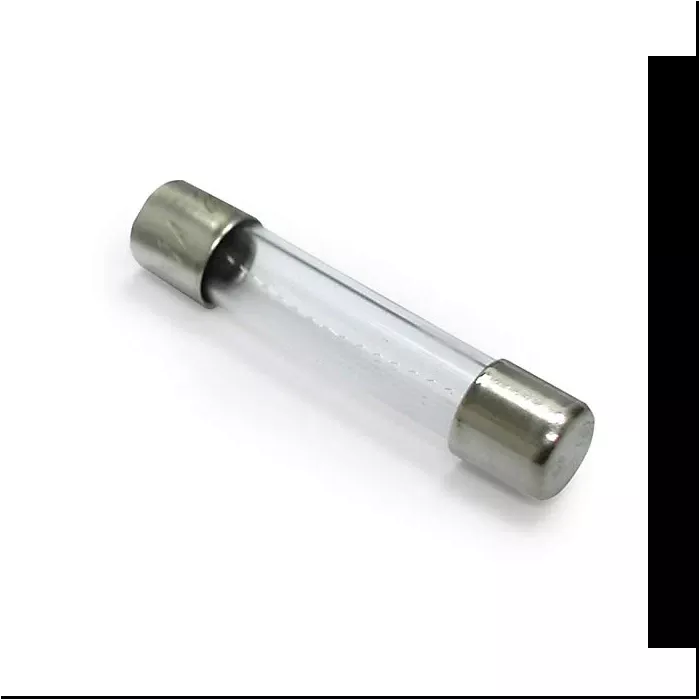 Zareba 1 AMP Replacement Fuses