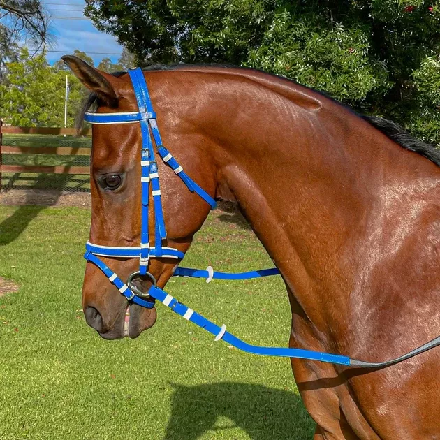 Zilco Hanoverian Bridle