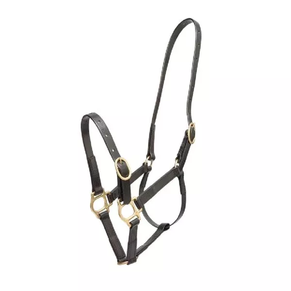 Zilco PVC Halter | 19mm